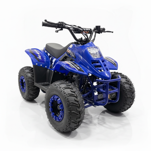 ATV Kinderquad Evolution 125cc Blauw