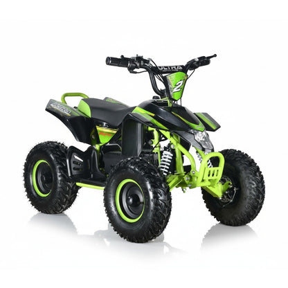 CarKiddo| Elektrische Kinderquad RETRO 1000W - Groen