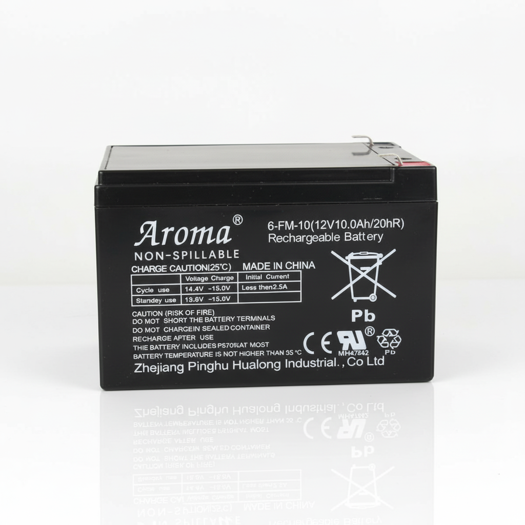 Accu 12v 10Ah