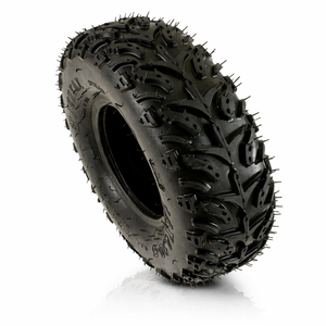 Aandrijfmotor Willy's jeep - 24V