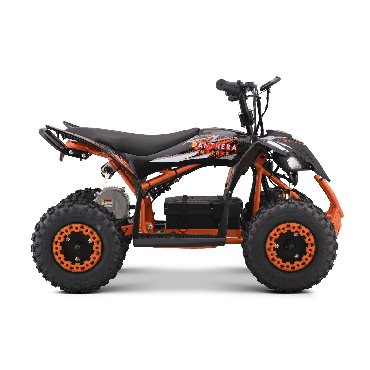 Panthera Tigris oranje - zijaanzicht