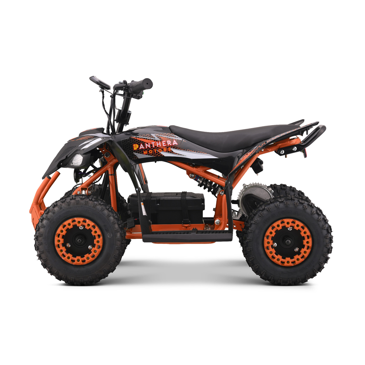 Panthera Tigris oranje - zijaanzicht